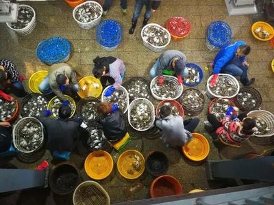 舟山梭子蟹价格飙升至250元一斤，市场行情堪比春节高峰