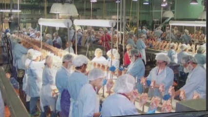 美国食品加工厂为何成为疫情重灾区 生产环节的挑战与风险