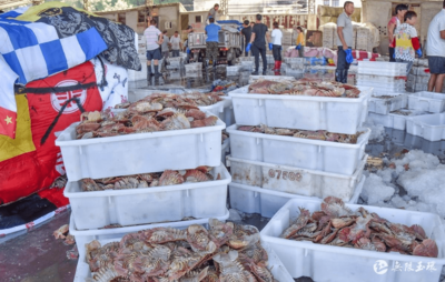 玉环全力迎战“利奇马” 水产品收购紧锣密鼓