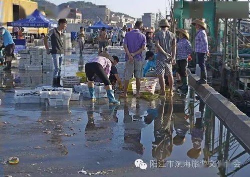 投资1.3亿元，广东阳江闸坡水产品交易物流中心将成新热点